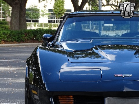 1980 Chevrolet Corvette image 30