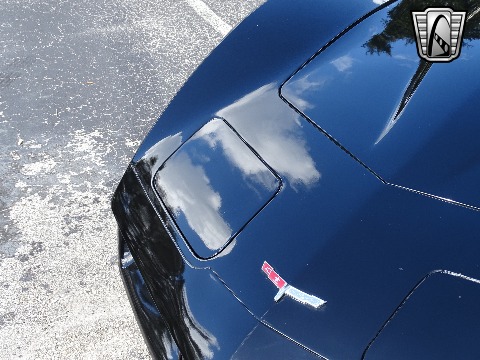 1980 Chevrolet Corvette image 56