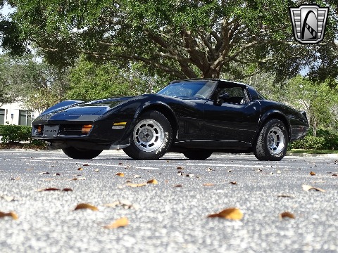 1980 Chevrolet Corvette image 5
