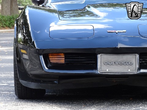 1980 Chevrolet Corvette image 31