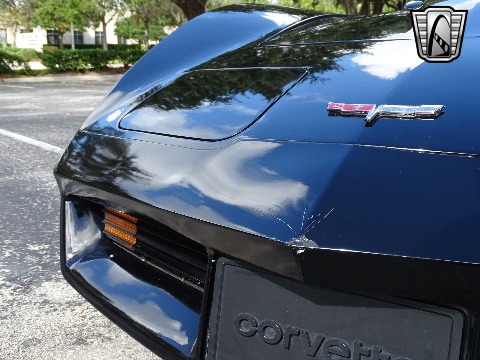 1980 Chevrolet Corvette image 57