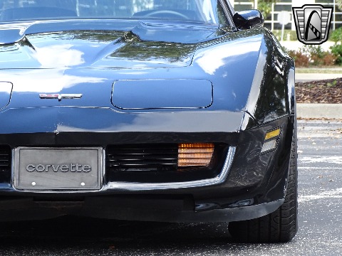 1980 Chevrolet Corvette image 32
