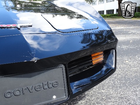 1980 Chevrolet Corvette image 58