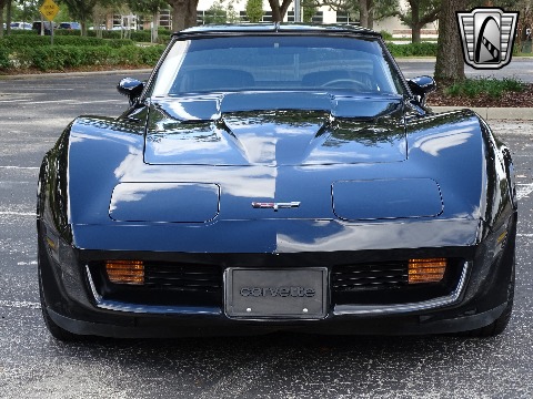 1980 Chevrolet Corvette image 7