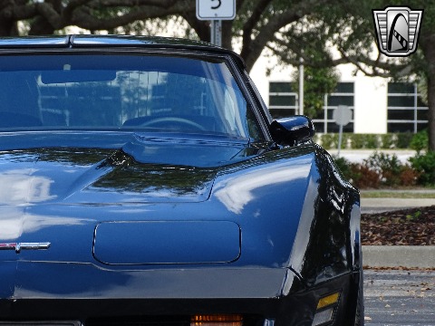 1980 Chevrolet Corvette image 33