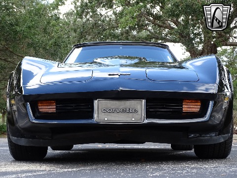 1980 Chevrolet Corvette image 8