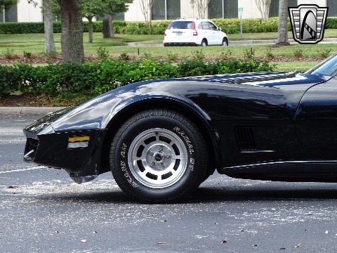 1980 Chevrolet Corvette image 34