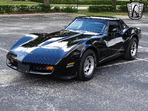 1980 Chevrolet Corvette image 9