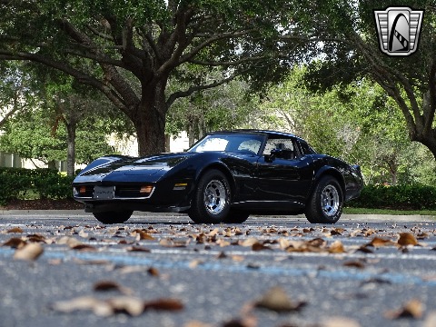 1980 Chevrolet Corvette image 87