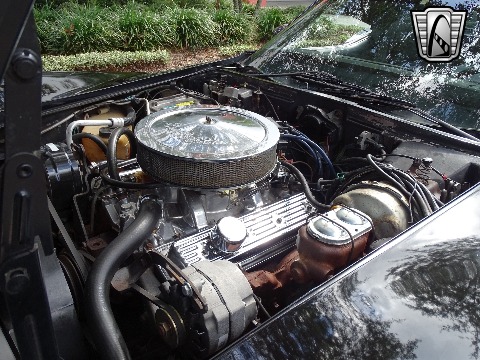 1980 Chevrolet Corvette image 113