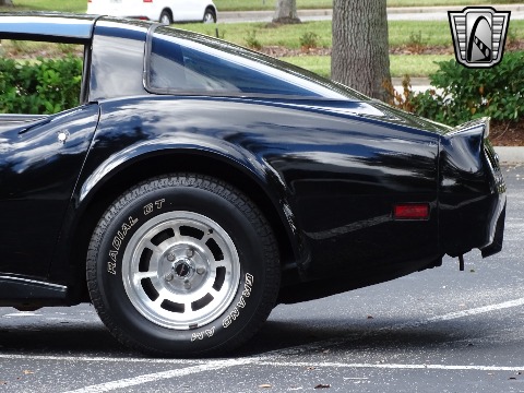 1980 Chevrolet Corvette image 36