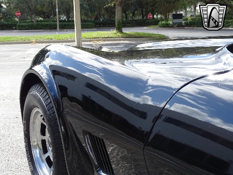 1980 Chevrolet Corvette image 62