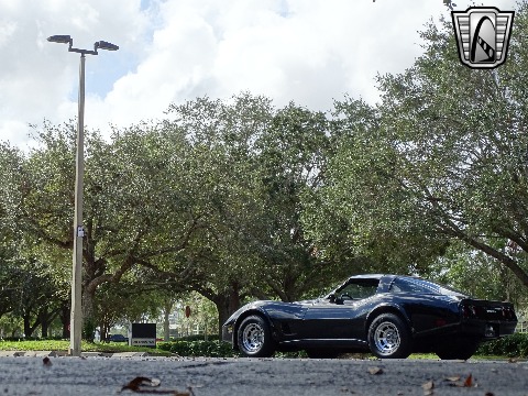 1980 Chevrolet Corvette image 88