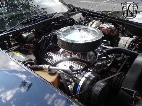 1980 Chevrolet Corvette image 114