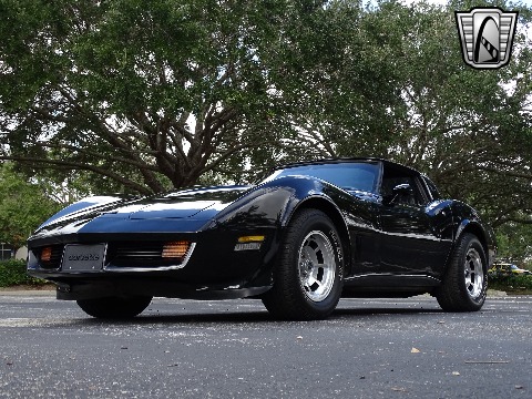 1980 Chevrolet Corvette image 11