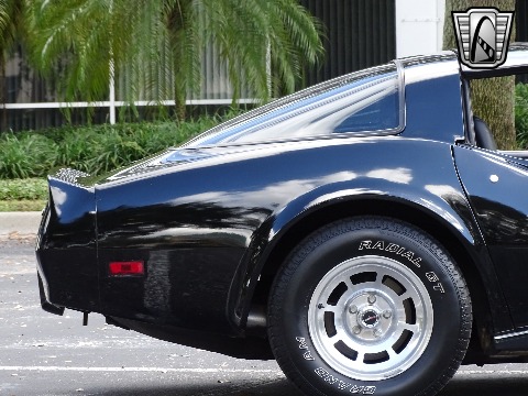 1980 Chevrolet Corvette image 39