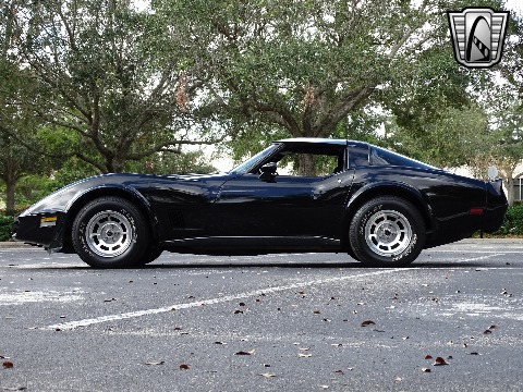 1980 Chevrolet Corvette image 14