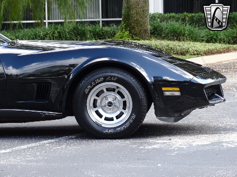 1980 Chevrolet Corvette image 41