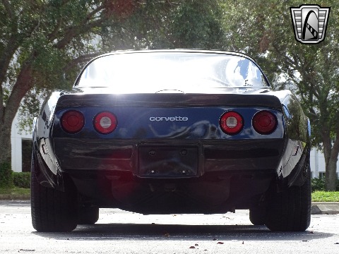 1980 Chevrolet Corvette image 20