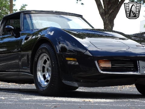 1980 Chevrolet Corvette image 46