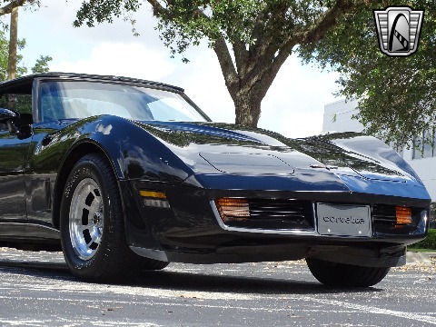 1980 Chevrolet Corvette image 48