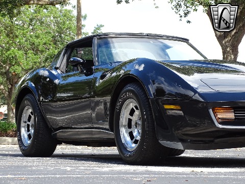 1980 Chevrolet Corvette image 49