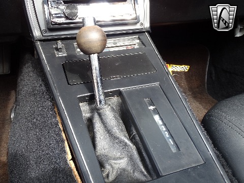 1980 Chevrolet Corvette image 101