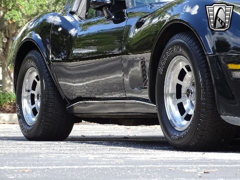 1980 Chevrolet Corvette image 50