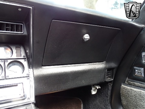 1980 Chevrolet Corvette image 102