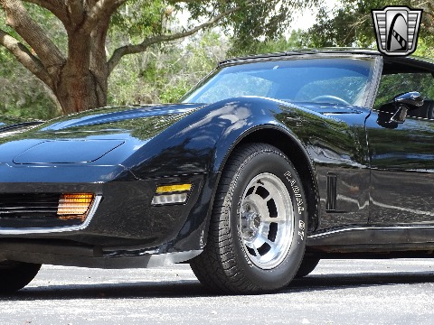 1980 Chevrolet Corvette image 51