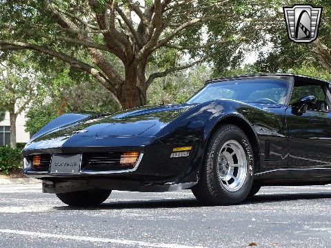 1980 Chevrolet Corvette image 53