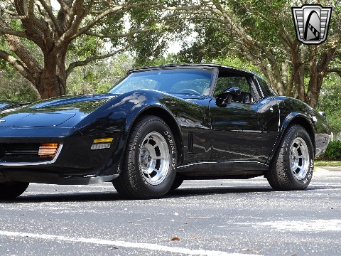 1980 Chevrolet Corvette image 54