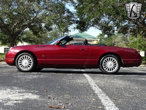 2004 Ford Thunderbird image 14