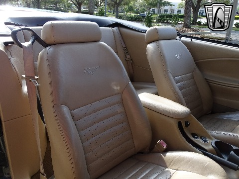 1999 Ford Mustang image 116