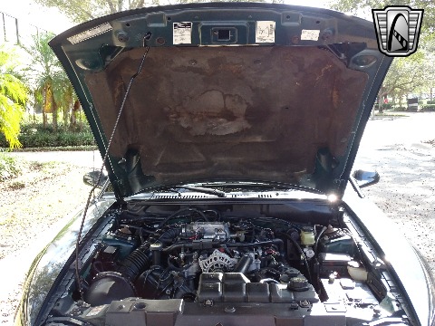 1999 Ford Mustang image 124