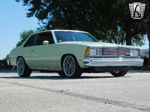 1979 Chevrolet Malibu image 29