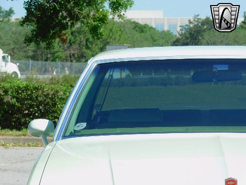 1979 Chevrolet Malibu image 30