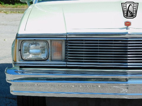 1979 Chevrolet Malibu image 31