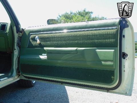 1979 Chevrolet Malibu image 109