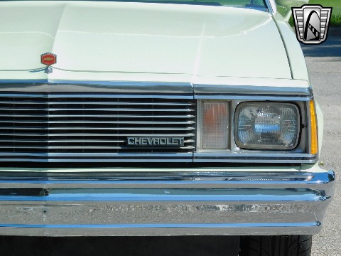 1979 Chevrolet Malibu image 32