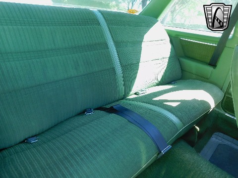 1979 Chevrolet Malibu image 110