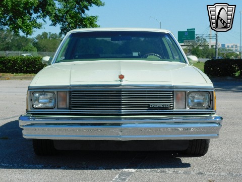 1979 Chevrolet Malibu image 7