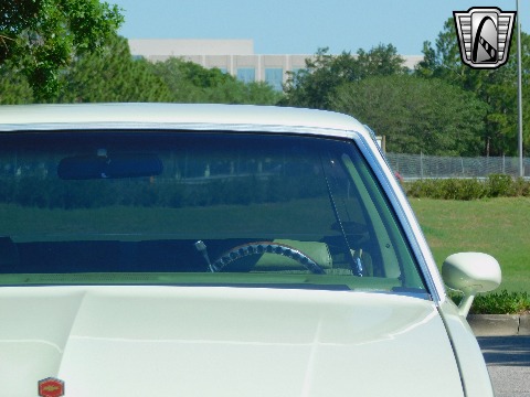 1979 Chevrolet Malibu image 33