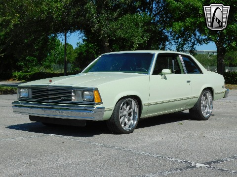 1979 Chevrolet Malibu image 10