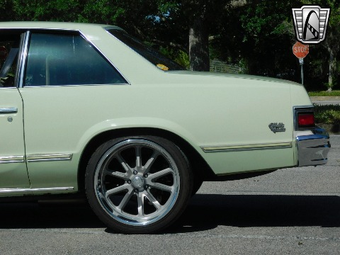 1979 Chevrolet Malibu image 36