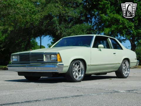1979 Chevrolet Malibu image 11
