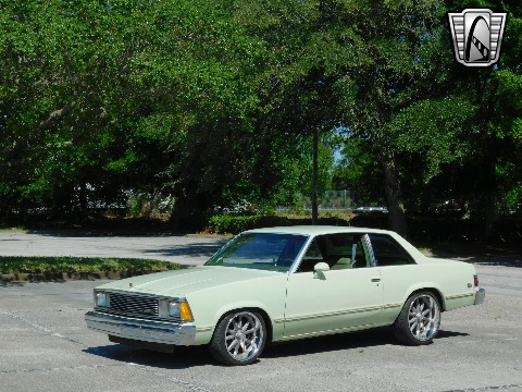 1979 Chevrolet Malibu image 90