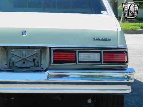 1979 Chevrolet Malibu image 39