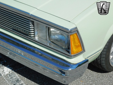 1979 Chevrolet Malibu image 65