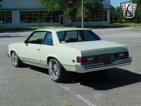 1979 Chevrolet Malibu image 15